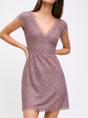 Babaton Aritzia Tobias Lace Dress with Pockets Dusty Rose Lace V-Neck Size 6